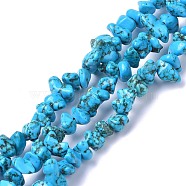 Natural Magnesite Beads Strands, Dyed, Chip, Light Sky Blue, 6~10x6~10x3~4mm, Hole: 0.5~0.7mm, 15.55''~16.54''(39.5~42cm)(TURQ-P001-02A-03)