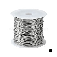 Non-Tarnish 316 Surgical Stainless Steel Wire, for Jewelry Making, Stainless Steel Color, 22 Gauge, 0.6mm, about 59.05 Feet(18m)/roll(TWIR-L004-01A-P)