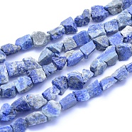 Raw Rough Natural Lapis Lazuli Beads Strands, Nuggets, 6~15x6~15x5~10mm, Hole: 0.7mm, about 37~45pcs/strand, 15.75 inch(40cm)(G-I279-B08)