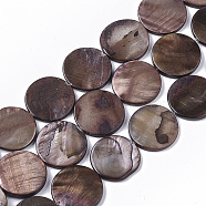 Freshwater Shell Beads Strands, Dyed, Flat Round, Saddle Brown, 19.5~20.5x2.5~3.5mm, Hole: 1mm, about 20pcs/Strand, 15.63 inch~16.02 inch(SHEL-T014-011A)