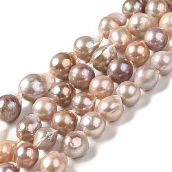 Natural Keshi Pearl Beads Strands, Baroque Pearls, Cultured Freshwater Pearl, Teardrop, Tan, 11.5~13.5x10.5~12x11~12mm, Hole: 0.6mm, about 33~34pcs/strand, 15.63~15.87 inch(39.7~40.3cm)(PEAR-E016-046)