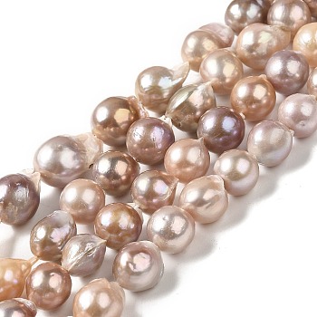 Natural Keshi Pearl Beads Strands, Baroque Pearls, Cultured Freshwater Pearl, Teardrop, Tan, 11.5~13.5x10.5~12x11~12mm, Hole: 0.6mm, about 33~34pcs/strand, 15.63~15.87 inch(39.7~40.3cm)