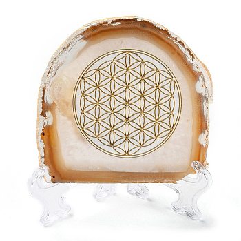 Printed Natural Agate Slice Stone Ornament, for Good Luck Home Office Decor, Flat Round, 100~125x105~150x7.5~8mm