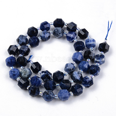 Natural Sodalite Beads Strands(G-R482-21B-8MM)-2