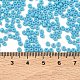 ミユキラウンドロカイユビーズ(X-SEED-G008-RR4478)-3