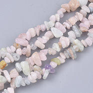 Natural Morganite Beads Strands, Chip, 5~15x5~10x2~7mm, Hole: 1mm, about  245~270pcs/Strand, 33.07~33.85 inch(84~86cm)(G-S363-021)
