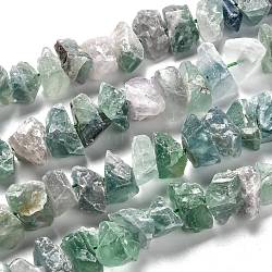 Rough Raw Natural Green Fluorite Beads Strands, Nuggets, 6~10x12~19x6~12mm, Hole: 1.2mm, about 49pcs/strand, 15.75''(40cm)(G-J390-B02)