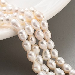 Natural Cultured Freshwater Pearl Beads Strands, Grade 4A, Oval, PeachPuff, 3.8~4.2mm, Hole: 0.6mm, about 30~31pcs/strand, 7.09''(18cm)(PEAR-P062-16B)