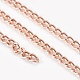 Iron Twisted Chains(N0Z42071)-1