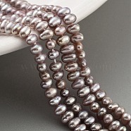 Natural Cultured Freshwater Pearl Beads Strands, Rondelle, Rosy Brown, 2.8~3.2mm, Hole: 0.5mm, about 66pcs/strand, 7.68 inch(19.5cm)(PEAR-C003-33C)