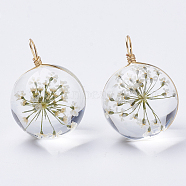 Glass Pendants, with Dried Flower Inside & Brass Findings, Round, Golden, Beige, 19x14mm, Hole: 2mm(GLAA-Q070-002B-01)