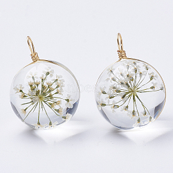 Glass Pendants, with Dried Flower Inside & Brass Findings, Round, Golden, Beige, 19x14mm, Hole: 2mm(GLAA-Q070-002B-01)