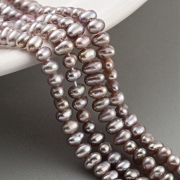 Natural Cultured Freshwater Pearl Beads Strands, Rondelle, Rosy Brown, 2.8~3.2mm, Hole: 0.5mm, about 66pcs/strand, 7.68 inch(19.5cm)