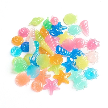 Luminous Resin Beads & Cabochons, Undrilled/No Hole Beads, Marine Animals, for Aquarium Fish Tank Decoration, Mixed Color, 22~33.5x16~30x6.5~14mm