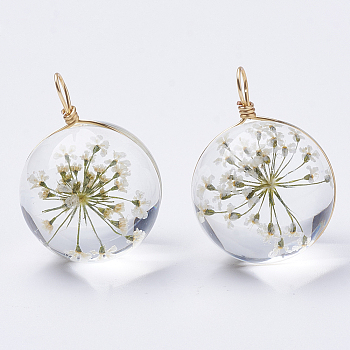 Glass Pendants, with Dried Flower Inside & Brass Findings, Round, Golden, Beige, 19x14mm, Hole: 2mm