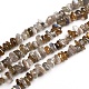 Natural Labradorite Chips Beads Strands(G-D0002-A06)-1