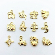 Alloy Pendants, Cadmium Free & Lead Free, 12 Constellations, Golden, 10mm, 12pcs/set(PALLOY-TAC0013-15G-RS)