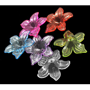 Transparent Acrylic Beads, Flower, Mixed Color, 26.5x6mm, Hole: 1.5~2mm(X-PL674Y)