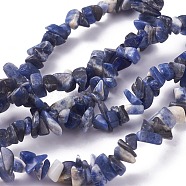 Natural Sodalite Beads Strands, Chip, 4~10x3~6mm, Hole: 0.5mm, 34.2 inch(87cm)(G-G782-31)