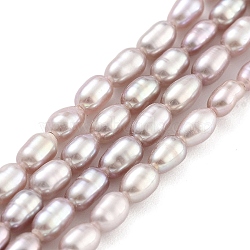 Natural Cultured Freshwater Pearl Beads Strands, Rice, Grade 6A, Thistle, 2.5~3mm, Hole: 0.3mm, about 40~41pcs/strand, 7.48''~7.68''(19~19.5cm)(PEAR-P062-02B)