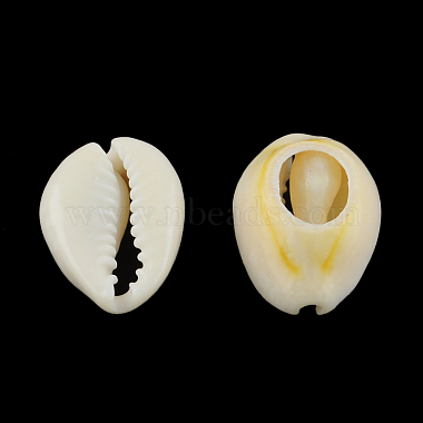 Perles coquillage cauri mélangées naturelles(BSHE-S052-01)-2