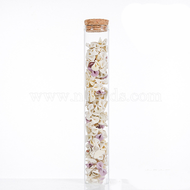 Mini High Borosilicate Glass Bottle Bead Containers(BOTT-PW0001-262I)-2