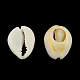 Natural Mixed Cowrie Shell Beads(BSHE-S052-01)-2
