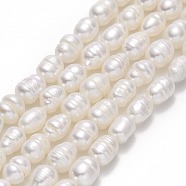 Natural Cultured Freshwater Pearl Beads Strands, Rice, Linen, 7~10x5.5~6mm, Hole: 0.7mm, about 42~45pcs/strand, 13.39''(34cm)(PEAR-J006-19A)