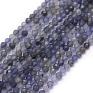 Natural Cordierite/Iolite/Dichroite Beads Strands, Faceted, Round, 2mm, Hole: 0.5mm, about 162pcs/strand, 15.35 inch(39cm)(G-E411-39-2mm)