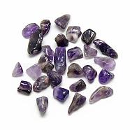 Natural Amethyst Gemstone Beads, Tumbled Stone, Nuggets, No Hole/Undrilled, 10~22x8~12x4~7mm(G-S218-12)