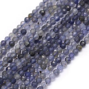 Natural Cordierite/Iolite/Dichroite Beads Strands, Faceted, Round, 2mm, Hole: 0.5mm, about 162pcs/strand, 15.35 inch(39cm)