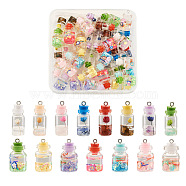 Cheriswelry 60Pcs 15 Style Wish Glass Bottle Pendants, with Natural Gemstone & Resin & Polymer Clay & Dried Flower & Stopper and Platinum Iron Peg Bails, Mixed Color, 4pcs/style(CRES-CW0001-08)