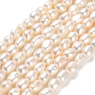 Natural Cultured Freshwater Pearl Beads Strands, Two Sides Polished, Grade 4A+, Linen, 4.5~6.5x4~5mm, Hole: 0.6mm, about 57~59pcs/strand, 13.98~14.09 inch(35.5~35.8cm)(PEAR-E016-063)