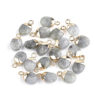 Electroplate Natural Labradorite Charms, with Iron Findings, Faceted, Oval, Golden, 14~15x8x5~5.5mm, Hole: 1.8mm(G-S344-09D)