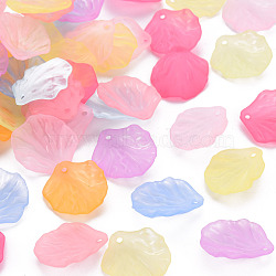Transparent Frosted Acrylic Pendants, Petaline, Mixed Color, 19.5x16.5x4mm, Hole: 1.5mm(MACR-S371-01A)