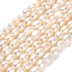 Natural Cultured Freshwater Pearl Beads Strands, Two Sides Polished, Grade 4A+, Linen, 4.5~6.5x4~5mm, Hole: 0.6mm, about 57~59pcs/strand, 13.98~14.09 inch(35.5~35.8cm)(PEAR-E016-063)