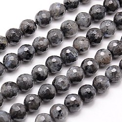 Natural Larvikite Beads Strands, Faceted, Round, Gray, 8mm, Hole: 1mm, about 46pcs/strand, 15.75 inch(G-G736-01-8mm)