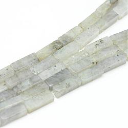 Natural Labradorite Bead Strands, Cuboid, 13~14x4~5x4~5mm, Hole: 1mm, about 29~31pcs/strand, 15.3 inch(G-R299-19)