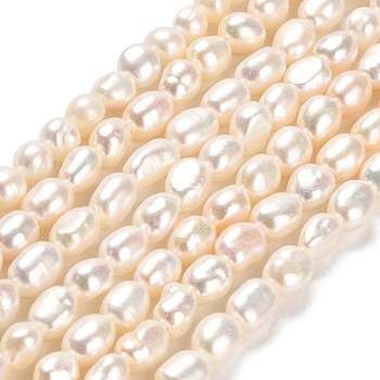 Natural Cultured Freshwater Pearl Beads Strands, Two Sides Polished, Grade 4A+, Linen, 4.5~6.5x4~5mm, Hole: 0.6mm, about 57~59pcs/strand, 13.98~14.09 inch(35.5~35.8cm)
