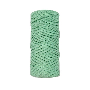 4-Ply 100M Cotton Macrame Cord, Macrame Twisted Cotton Rope, for Wall Hanging, DIY Crafts, Medium Aquamarine, 3mm, about 109.36 Yards(100m)/Roll