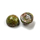 cabochons unakite naturales(G-H309-03-41)-2