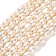 Natural Cultured Freshwater Pearl Beads Strands(PEAR-E016-063)-1