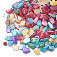 Shell Beads, No Hole Beads, Dyed, Chip, Mixed Color, 1~15x1~15x0.5~5mm, about 450g/bag(SHEL-R020-M)
