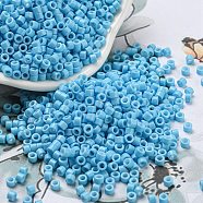 Baking Paint Glass Seed Beads, Cylinder, Sky Blue, 2.5x2mm, Hole: 1.4mm, about 45359pcs/pound(SEED-S042-05A-38)
