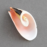 Spiral Shell Pendants, Seashell Color, 38x21x14mm, Hole: 1.5mm, about 139pcs/500g(SSHEL-S001-03)