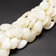 Natural Trochid Shell/Trochus Shell Beads Strands, teardrop, Creamy White, 17~18x13x4mm, Hole: 1mm, about 23pcs/strand, 15.75 inch(SSHEL-K009-01-A)