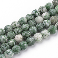 Natural Qinghai Jade Beads Strands, Faceted, Round, 8~8.5mm, Hole: 1mm, about 47pcs/strand, 15.5 inch(G-Q462-97-8mm)