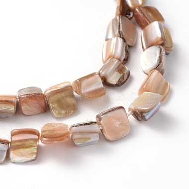 Erose Shell Beads Strands(PBB071Y)-3