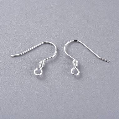 304 Stainless Steel Earring Hooks(STAS-K210-26S)-2