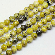 Natural Yellow Turquoise(Jasper) Beads Strands, Round, 6mm(X-GSR6mmC007)